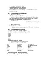 Referāts 'Strukturālais plāns valodas sistēmas nepietiekamas attīstības korekcijai, skaņu ', 14.