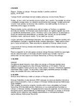 Prezentācija 'Rindas uz Latvijas - Krievijas robežas', 9.