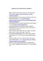 Referāts 'Nacionālā, etniskā un rasu sociālā nevienlīdzība Latvijā', 19.