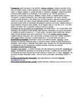 Referāts 'Venecuēla', 7.