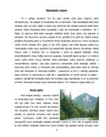 Referāts 'Venecuēla', 13.