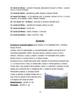 Referāts 'Venecuēla', 16.