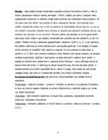 Referāts 'Venecuēla', 17.