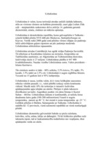 Konspekts 'Uzbekistāna', 1.