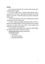 Referāts 'Sociālās lomas', 3.