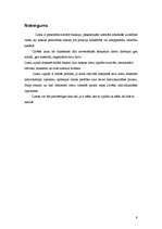 Referāts 'Sociālās lomas', 9.