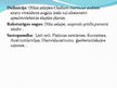 Prezentācija 'ES aizsargājamie biotopi Latvijā - purvi', 18.