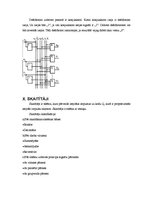 Paraugs 'Trigeri un to veidi', 13.