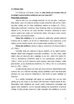 Referāts 'Ķīlu veidi', 7.