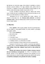 Referāts 'Ķīlu veidi', 11.