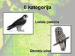 Prezentācija 'Bioloģiskās daudzveidības monitorings', 13.