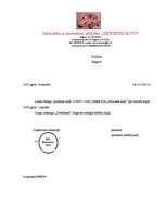 Paraugs 'Lietvedības dokumentu paraugi', 2.