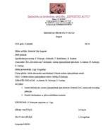 Paraugs 'Lietvedības dokumentu paraugi', 4.