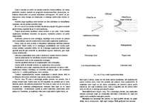 Konspekts 'Uzņēmējdarbība', 28.