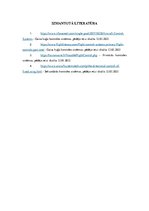 Konspekts 'Gaisa kuģa kontroles sistēmas', 7.