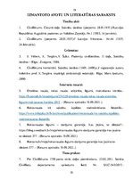 Referāts 'Rokas nauda un tās sekas', 19.