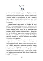 Biznesa plāns 'Biznesa plāns SIA "Tīkliņš"', 2.