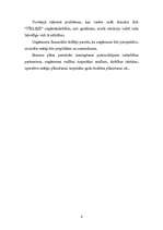 Biznesa plāns 'Biznesa plāns SIA "Tīkliņš"', 3.