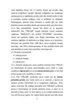 Biznesa plāns 'Biznesa plāns SIA "Tīkliņš"', 8.