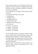 Biznesa plāns 'Biznesa plāns SIA "Tīkliņš"', 9.