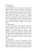 Biznesa plāns 'Biznesa plāns SIA "Tīkliņš"', 12.