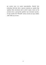 Biznesa plāns 'Biznesa plāns SIA "Tīkliņš"', 13.