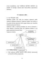 Biznesa plāns 'Biznesa plāns SIA "Tīkliņš"', 23.