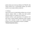 Biznesa plāns 'Biznesa plāns SIA "Tīkliņš"', 29.