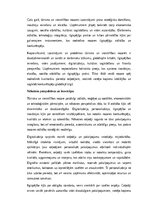 Konspekts 'Tūrisms un viesmīlība: attīstība, tendences un nākotnes perspektīvas', 10.