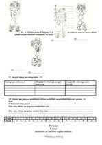 Konspekts 'Pārbaudes darbs. Asinsrites un limfrites orgānu sistēma', 2.