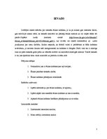 Referāts 'Tiesnešu ētikas kodekss', 3.