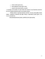 Referāts 'Laulāto līgumisko mantisko attiecību sistēma', 4.