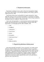 Referāts 'Policijas darbinieka tiesības pielietot šaujamieroci', 4.