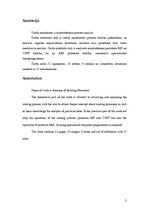 Diplomdarbs 'Maršrutēšanas procesu analīze', 3.