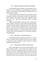 Diplomdarbs 'Maršrutēšanas procesu analīze', 18.