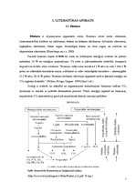 Referāts 'Labākās organiskās izejvielas un temperatūras režīma noteikšana biogāzes iegūšan', 7.