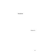 Referāts 'Labākās organiskās izejvielas un temperatūras režīma noteikšana biogāzes iegūšan', 23.