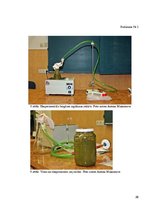 Referāts 'Labākās organiskās izejvielas un temperatūras režīma noteikšana biogāzes iegūšan', 26.