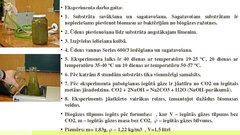Referāts 'Labākās organiskās izejvielas un temperatūras režīma noteikšana biogāzes iegūšan', 36.