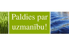Referāts 'Labākās organiskās izejvielas un temperatūras režīma noteikšana biogāzes iegūšan', 41.
