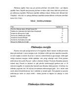 Referāts 'Alternatīvie enerģētikas veidi', 3.