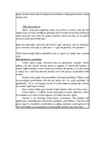 Konspekts 'Anšlava Eglīša darba "Līgavu mednieki" analīze', 2.