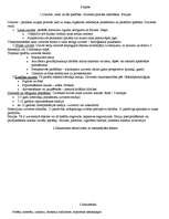 Konspekts 'Psiholoģija', 3.