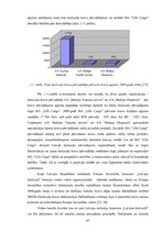 Diplomdarbs 'SIA "LDZ Cargo" darbība un perspektīvas koncerna LDz sastāvā', 45.
