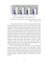 Diplomdarbs 'SIA "LDZ Cargo" darbība un perspektīvas koncerna LDz sastāvā', 57.