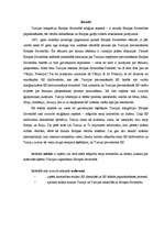 Referāts 'Reliģijas faktors jautājumā par Turcijas iestāšanos Eiropas Savienībā', 2.