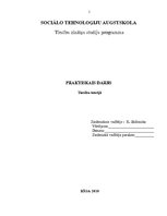 Referāts 'Praktiskais darbs tiesību teorijā', 1.