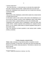 Referāts 'Praktiskais darbs tiesību teorijā', 13.