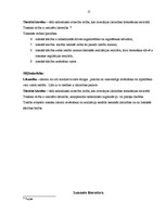 Referāts 'Praktiskais darbs tiesību teorijā', 15.