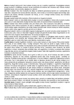 Konspekts 'Muskuļi', 5.